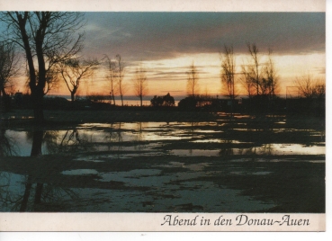 Ansichtskarte Abend in den Donau-Auen